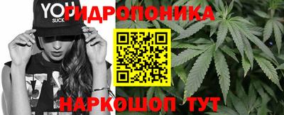дмт Можга