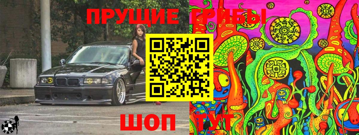 Галлюциногенные грибы Magic Shrooms  Вход с VPN  Галлюциногенные грибы Psilocybine cubensis  Сибай 